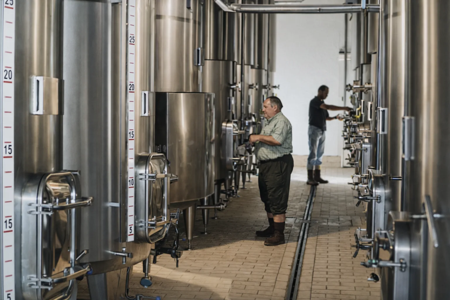 Enoturismo en Bizkaia en la bodega Txakoli Uriarte