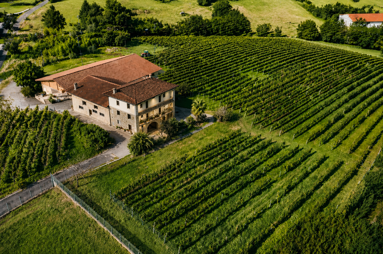 Bodega Txakoli Uriarte rodeada de viñedos en Bizkaia
